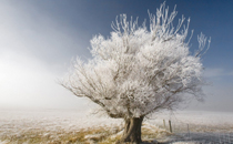 小雪节气如何养生 小雪节气养生常识